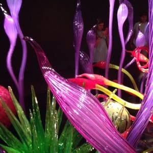 Meet your Posher, Edie